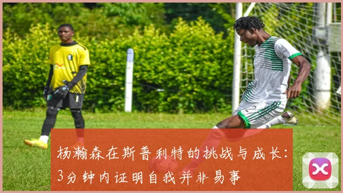 杨瀚森在斯普利特的挑战与成长：3分钟内证明自我并非易事