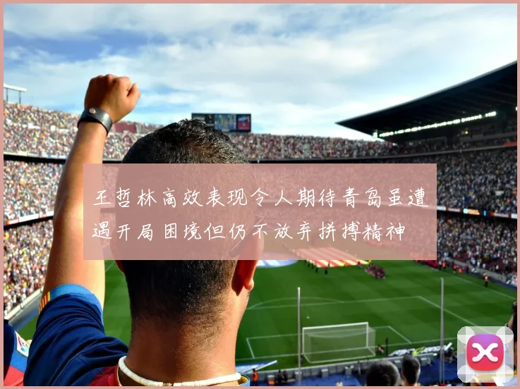 王哲林高效表现令人期待青岛虽遭遇开局困境但仍不放弃拼搏精神