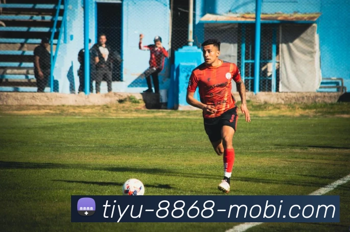 多媒体互动体验