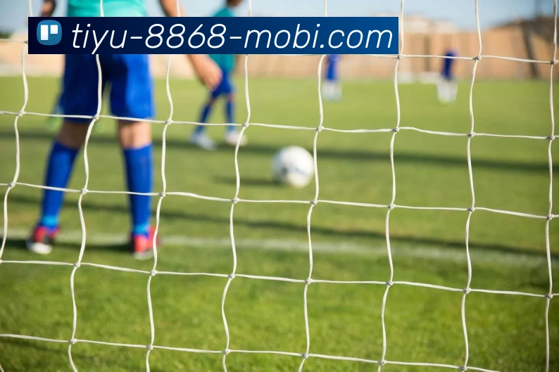8868体育APP 高清赛事图